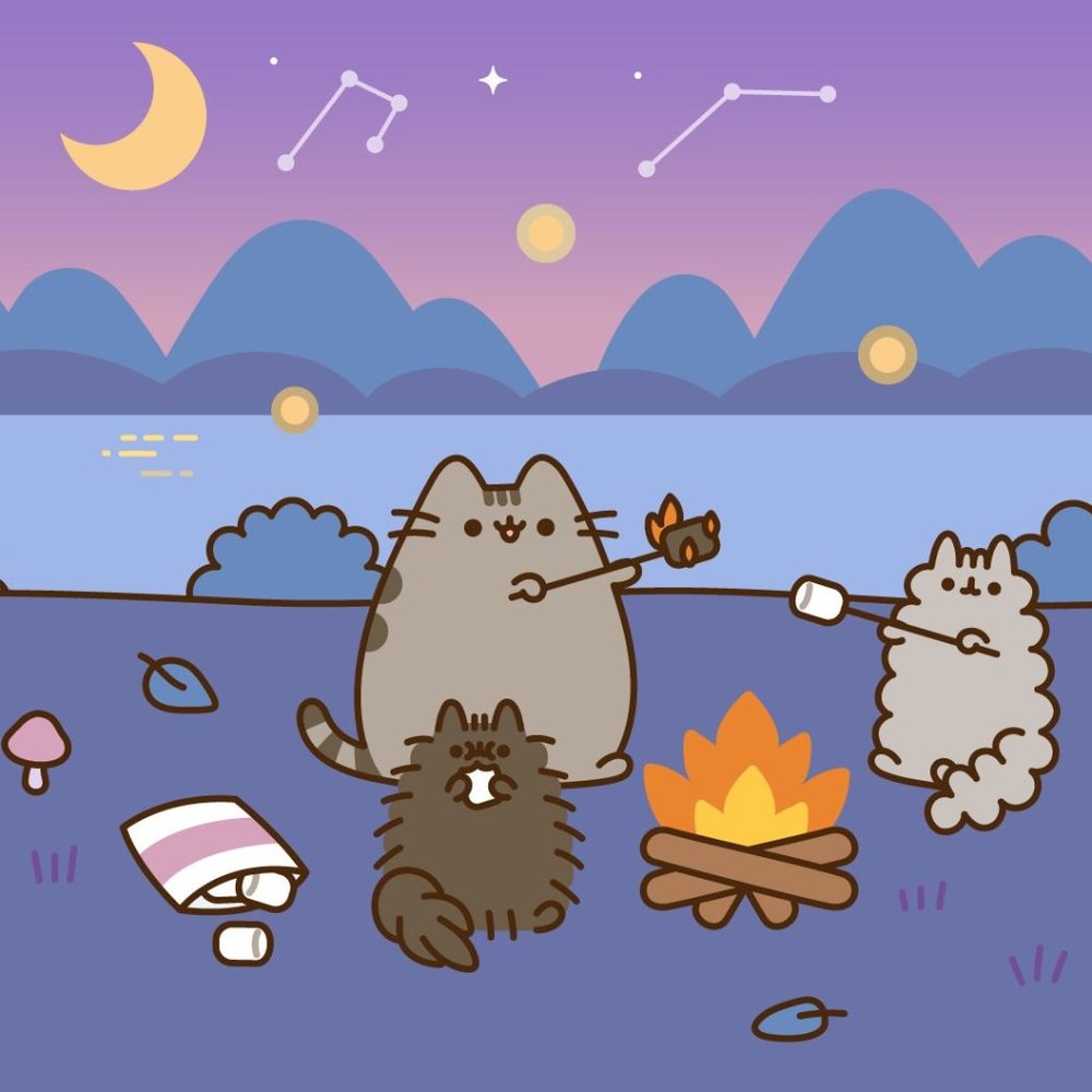 Meet your Posher, Valentine